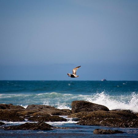 The Coho Oceanfront Lodge Lincoln City Buitenkant foto