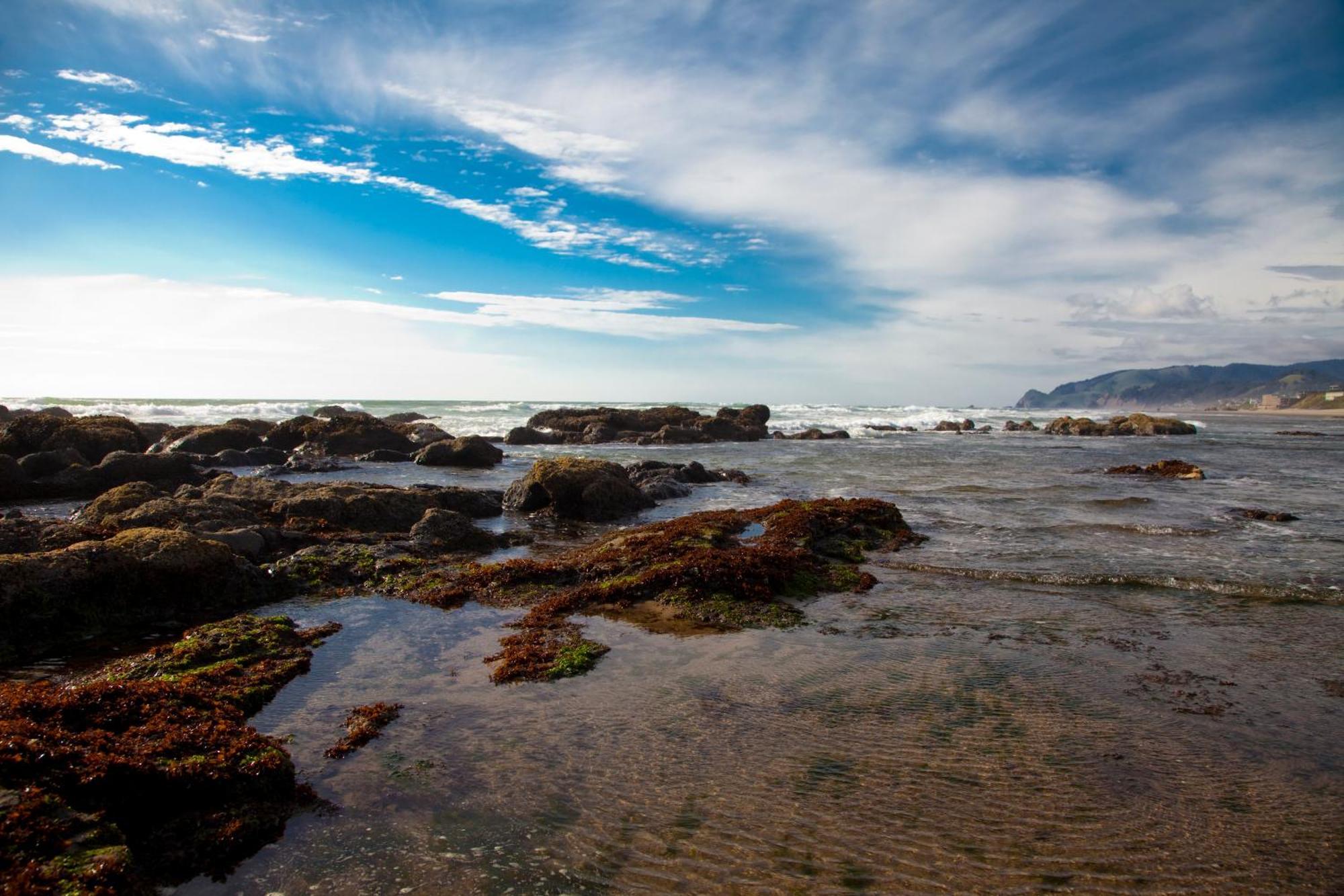 The Coho Oceanfront Lodge Lincoln City Buitenkant foto